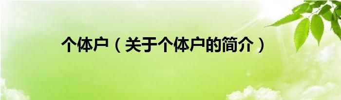 個(gè)體戶(hù)（關(guān)于個(gè)體戶(hù)的簡(jiǎn)介）