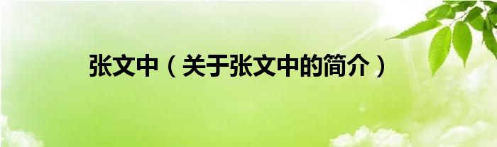 張文中（關(guān)于張文中的簡(jiǎn)介）