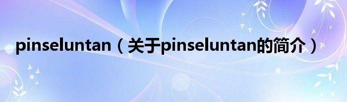 pinseluntan（關于pinseluntan的簡介）