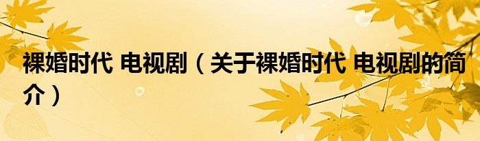 裸婚時代 電視?。P于裸婚時代 電視劇的簡介）