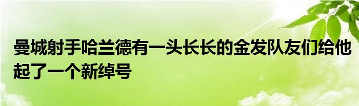 曼城射手哈蘭德有一頭長(zhǎng)長(zhǎng)的金發(fā)隊(duì)友們給他起了一個(gè)新綽號(hào)