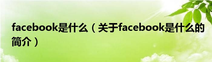 facebook是什么（關(guān)于facebook是什么的簡(jiǎn)介）