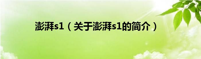 澎湃s1（關(guān)于澎湃s1的簡(jiǎn)介）