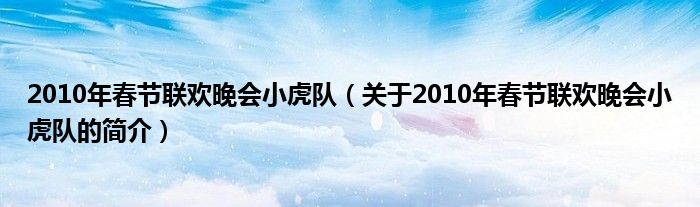 2010年春節(jié)聯(lián)歡晚會小虎隊(duì)（關(guān)于2010年春節(jié)聯(lián)歡晚會小虎隊(duì)的簡介）