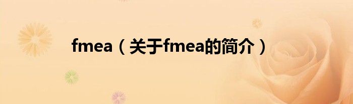 fmea（關于fmea的簡介）