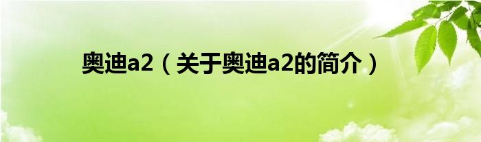 奧迪a2（關(guān)于奧迪a2的簡介）