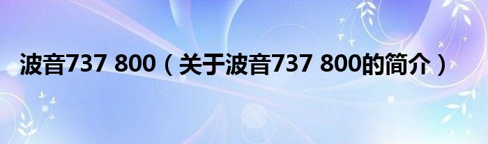 波音737 800（關(guān)于波音737 800的簡介）