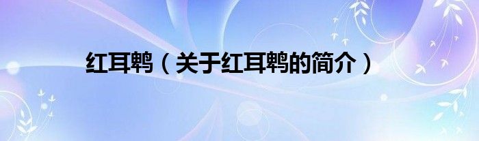 紅耳鵯（關(guān)于紅耳鵯的簡(jiǎn)介）