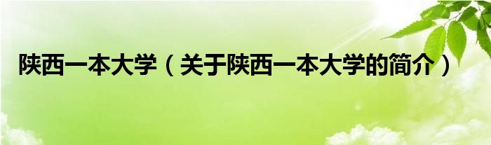 陜西一本大學（關于陜西一本大學的簡介）