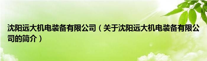 沈陽(yáng)遠(yuǎn)大機(jī)電裝備有限公司（關(guān)于沈陽(yáng)遠(yuǎn)大機(jī)電裝備有限公司的簡(jiǎn)介）