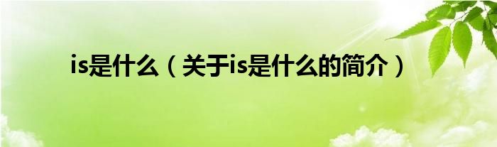 is是什么（關(guān)于is是什么的簡(jiǎn)介）