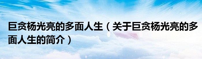 巨貪楊光亮的多面人生（關于巨貪楊光亮的多面人生的簡介）