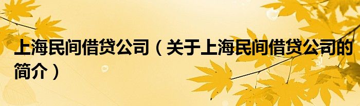 上海民間借貸公司（關于上海民間借貸公司的簡介）