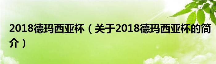 2018德瑪西亞杯（關(guān)于2018德瑪西亞杯的簡介）