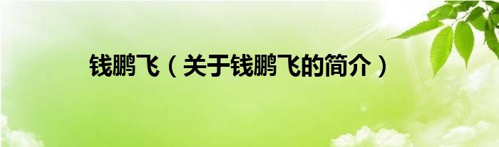 錢鵬飛（關(guān)于錢鵬飛的簡(jiǎn)介）