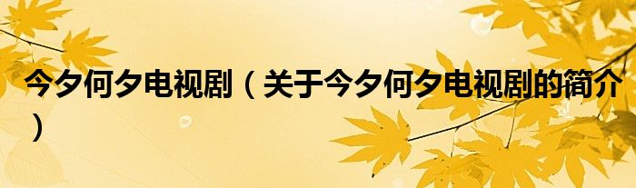 今夕何夕電視?。P(guān)于今夕何夕電視劇的簡(jiǎn)介）