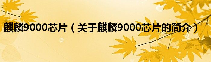 麒麟9000芯片（關(guān)于麒麟9000芯片的簡介）