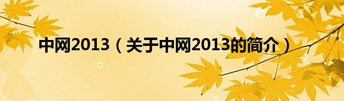 中網(wǎng)2013（關(guān)于中網(wǎng)2013的簡(jiǎn)介）