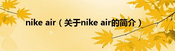 nike air（關于nike air的簡介）