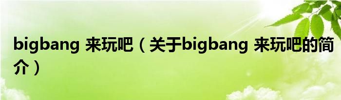 bigbang 來玩吧（關(guān)于bigbang 來玩吧的簡介）