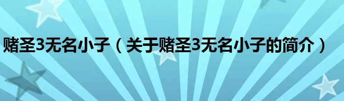 賭圣3無名小子（關于賭圣3無名小子的簡介）