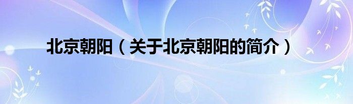 北京朝陽（關(guān)于北京朝陽的簡(jiǎn)介）