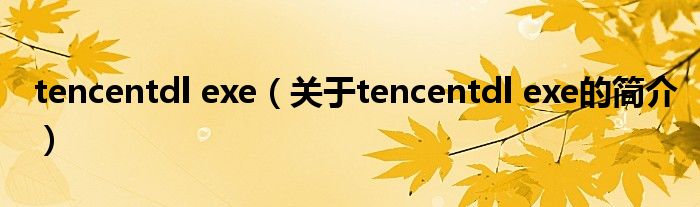 tencentdl exe（關(guān)于tencentdl exe的簡介）