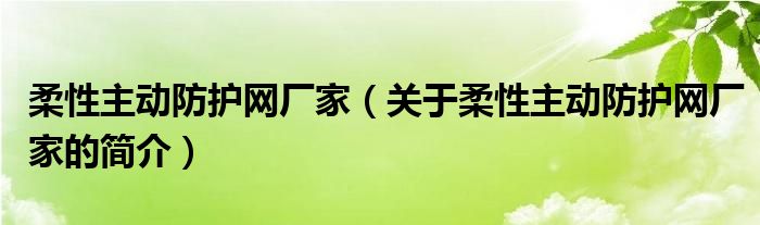 柔性主動(dòng)防護(hù)網(wǎng)廠家（關(guān)于柔性主動(dòng)防護(hù)網(wǎng)廠家的簡(jiǎn)介）