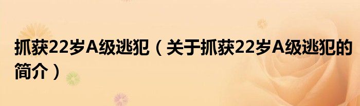 抓獲22歲A級(jí)逃犯（關(guān)于抓獲22歲A級(jí)逃犯的簡(jiǎn)介）