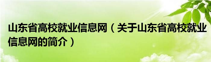 山東省高校就業(yè)信息網(wǎng)（關(guān)于山東省高校就業(yè)信息網(wǎng)的簡(jiǎn)介）