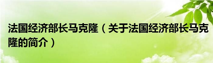 法國(guó)經(jīng)濟(jì)部長(zhǎng)馬克隆（關(guān)于法國(guó)經(jīng)濟(jì)部長(zhǎng)馬克隆的簡(jiǎn)介）