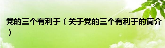 黨的三個(gè)有利于（關(guān)于黨的三個(gè)有利于的簡介）