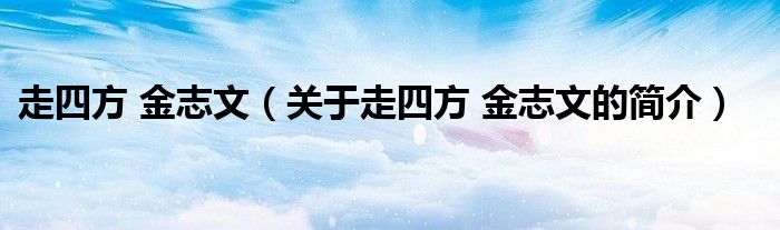 走四方 金志文（關于走四方 金志文的簡介）