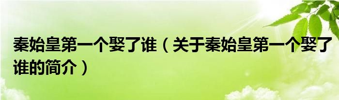 秦始皇第一個(gè)娶了誰(shuí)（關(guān)于秦始皇第一個(gè)娶了誰(shuí)的簡(jiǎn)介）