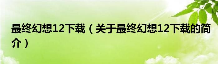 最終幻想12下載（關(guān)于最終幻想12下載的簡(jiǎn)介）