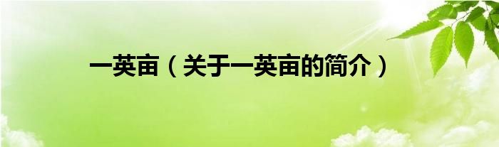 一英畝（關(guān)于一英畝的簡(jiǎn)介）