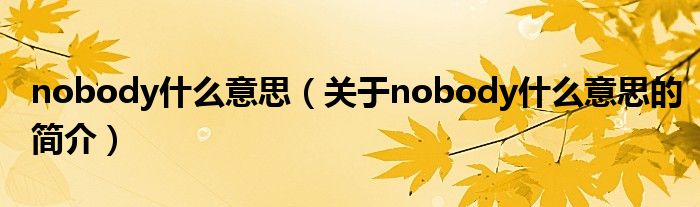 nobody什么意思（關(guān)于nobody什么意思的簡介）