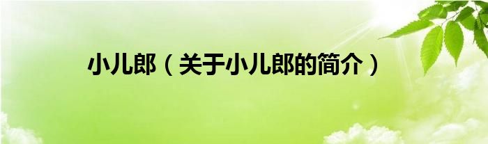 小兒郎（關(guān)于小兒郎的簡(jiǎn)介）