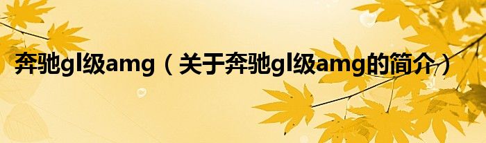 奔馳gl級amg（關(guān)于奔馳gl級amg的簡介）