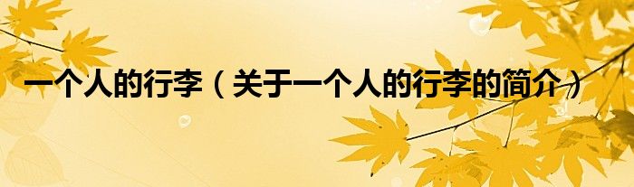 一個(gè)人的行李（關(guān)于一個(gè)人的行李的簡(jiǎn)介）