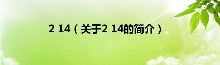 2 14（關(guān)于2 14的簡介）