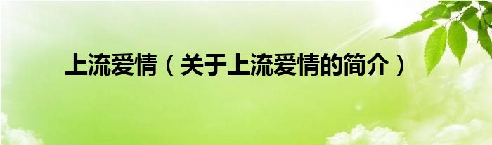 上流愛情（關(guān)于上流愛情的簡介）