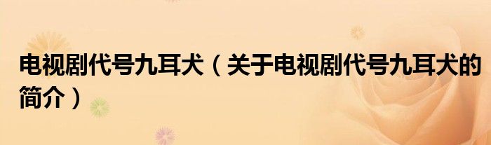 電視劇代號(hào)九耳犬（關(guān)于電視劇代號(hào)九耳犬的簡(jiǎn)介）