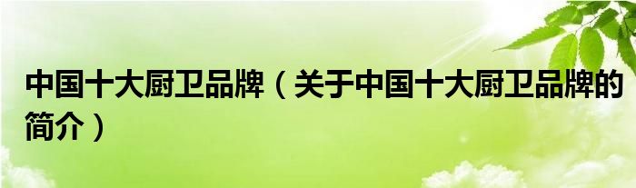 中國十大廚衛(wèi)品牌（關于中國十大廚衛(wèi)品牌的簡介）