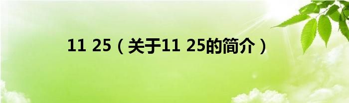 11 25（關(guān)于11 25的簡(jiǎn)介）