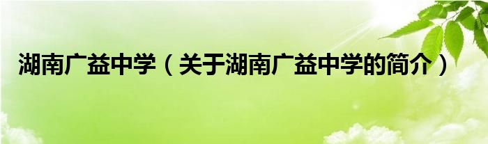 湖南廣益中學（關(guān)于湖南廣益中學的簡介）