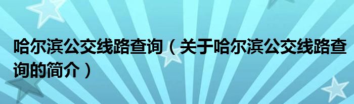 哈爾濱公交線路查詢（關(guān)于哈爾濱公交線路查詢的簡(jiǎn)介）