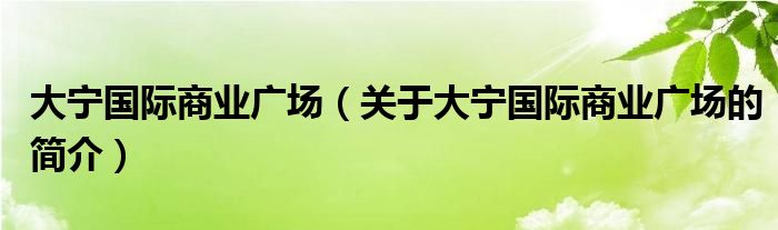 大寧國際商業(yè)廣場(chǎng)（關(guān)于大寧國際商業(yè)廣場(chǎng)的簡介）