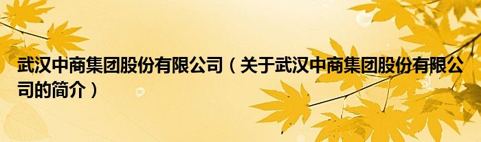 武漢中商集團(tuán)股份有限公司（關(guān)于武漢中商集團(tuán)股份有限公司的簡(jiǎn)介）