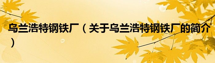 烏蘭浩特鋼鐵廠（關于烏蘭浩特鋼鐵廠的簡介）